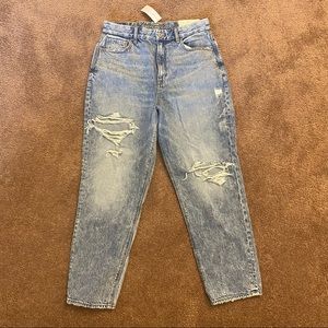 AE Curvy Mom Jean